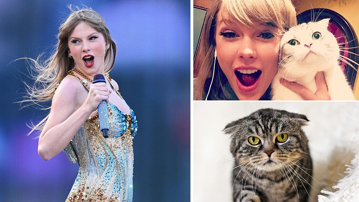 taylor-swift-alerts-–-taylor-swift’s-beloved-cats-face-government-crackdown!